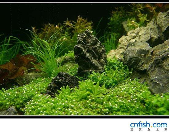 ʯ���ݸ��쾰