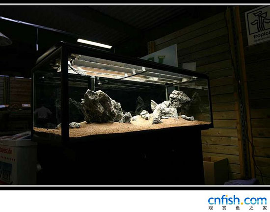 ʯ���ݸ��쾰