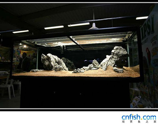 ʯ���ݸ��쾰