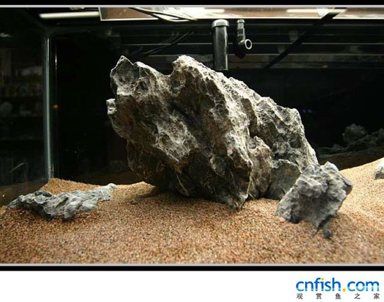 ʯ���ݸ��쾰