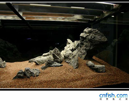 ʯ���ݸ��쾰