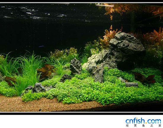 ʯ���ݸ��쾰