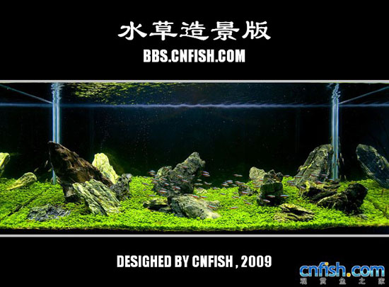 ˮ���쾰����