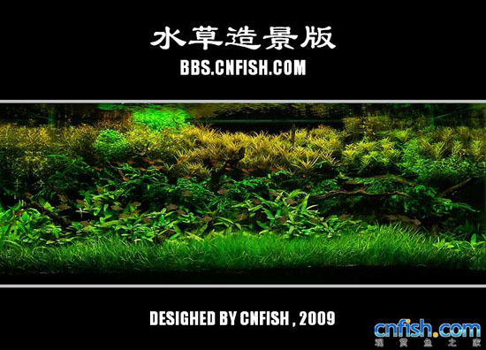 ˮ���쾰����