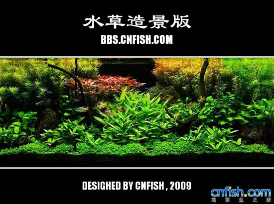 ˮ���쾰����