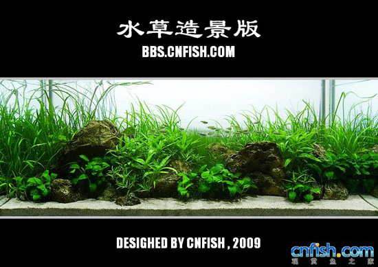 ˮ���쾰����