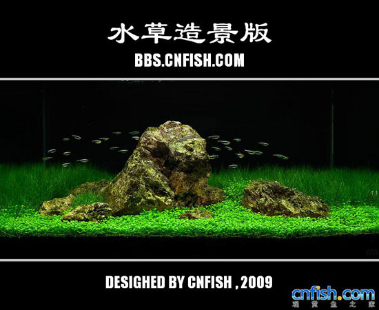 ˮ���쾰����