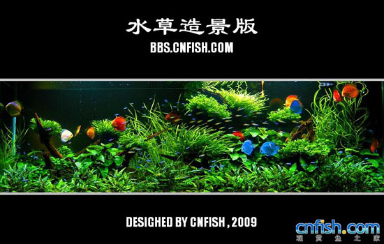 ˮ���쾰����