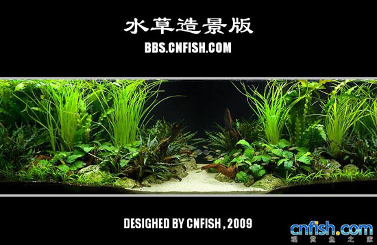 ˮ���쾰����