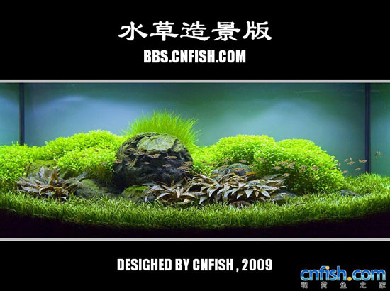 ˮ���쾰����