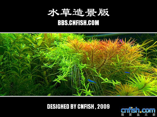 ˮ���쾰����