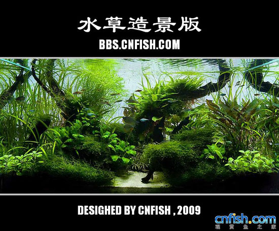 ˮ���쾰����