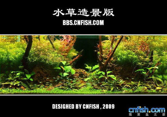 ˮ���쾰����