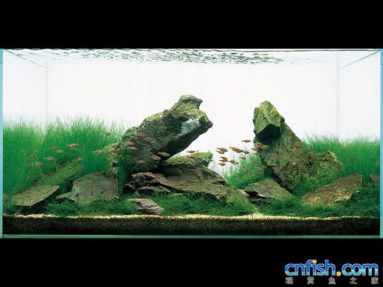 ��Ʒ����ʯ���쾰ˮ�ݸ�ͼ��