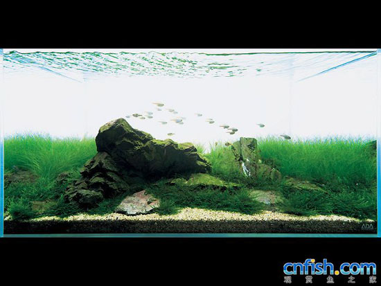 ��Ʒ����ʯ���쾰ˮ�ݸ�ͼ��