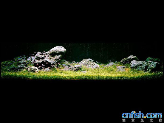 ��Ʒ����ʯ���쾰ˮ�ݸ�ͼ��