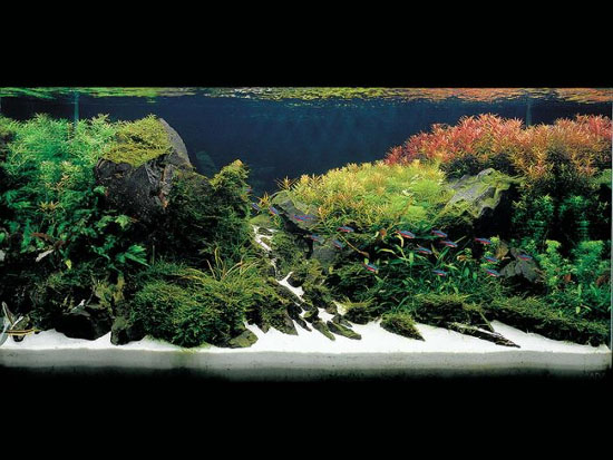 ��Ʒ����ʯ���쾰ˮ�ݸ�ͼ��