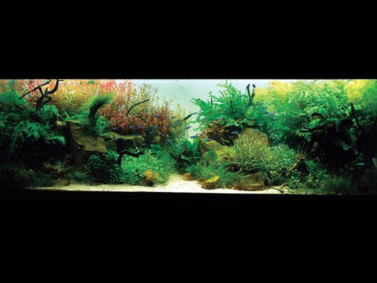 ��Ʒ����ʯ���쾰ˮ�ݸ�ͼ��