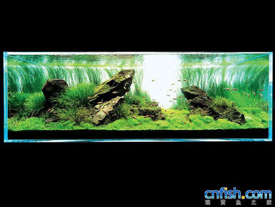 ��Ʒ����ʯ���쾰ˮ�ݸ�ͼ��