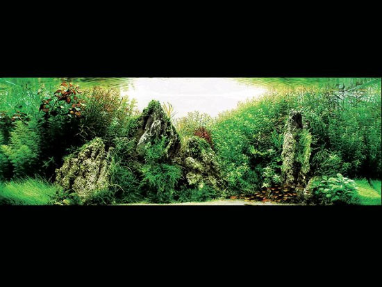 ��Ʒ����ʯ���쾰ˮ�ݸ�ͼ��