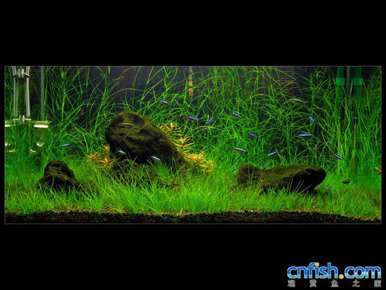 ��Ʒ����ʯ���쾰ˮ�ݸ�ͼ��