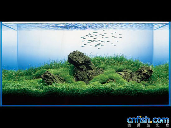 ��Ʒ����ʯ���쾰ˮ�ݸ�ͼ��