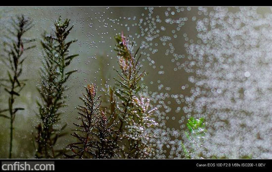 С�ݸ�ͼ��־��1��