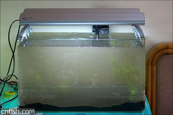 С�ݸ�ͼ��־��1��