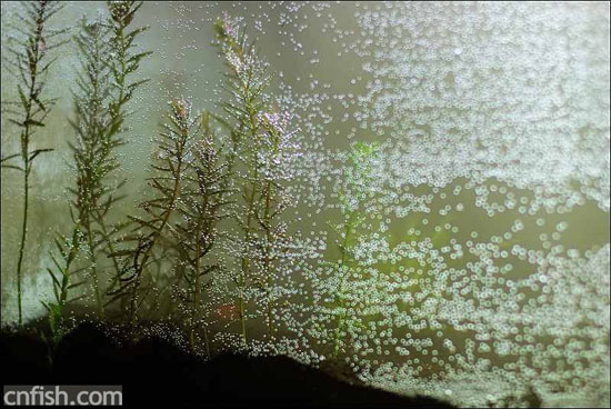 С�ݸ�ͼ��־��1��