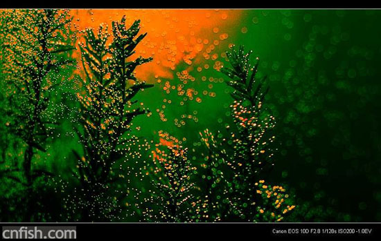 С�ݸ�ͼ��־��1��