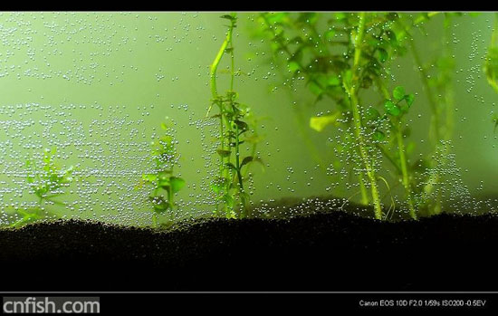 С�ݸ�ͼ��־��1��