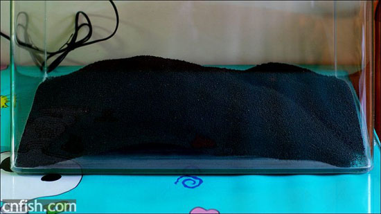 С�ݸ�ͼ��־��1��