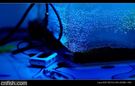 С�ݸ�ͼ��־��1��