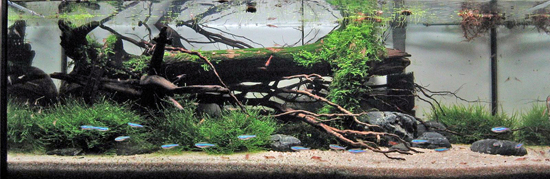 ������ˮ���쾰�ټ��Ƕ�ļ�Լ���