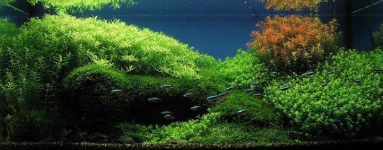 ������ˮ���쾰�ټ��Ƕ�ļ�Լ���