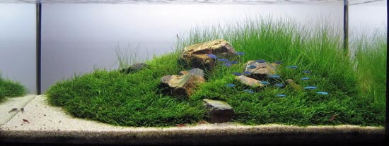 ������ˮ���쾰�ټ��Ƕ�ļ�Լ���