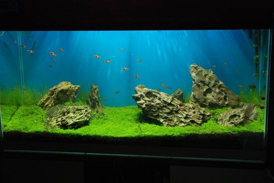 ������ˮ���쾰�ټ��Ƕ�ļ�Լ���