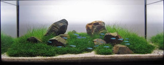 ������ˮ���쾰�ټ��Ƕ�ļ�Լ���