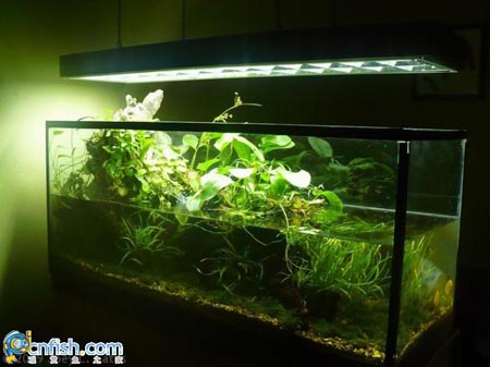 �������쾰��ʦ������֮�� 1