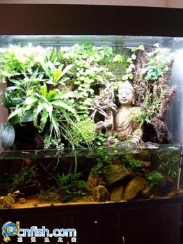 �������쾰��ʦ������֮�� 1