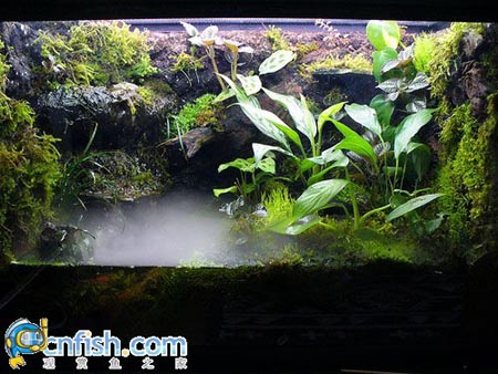 �������쾰��ʦ������֮�� 1