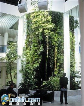 �������쾰��ʦ������֮�� 1