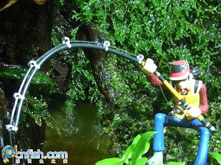 �������쾰��ʦ������֮�� 1