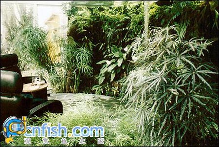 �������쾰��ʦ������֮�� 1