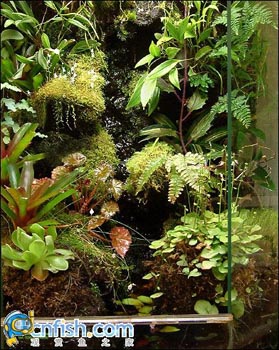 �������쾰��ʦ������֮�� 1