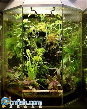 �������쾰��ʦ������֮�� 1