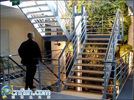 �������쾰��ʦ������֮�� 1