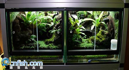 �������쾰��ʦ������֮�� 1