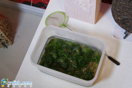 һ��ʯ���׿��׼�¼