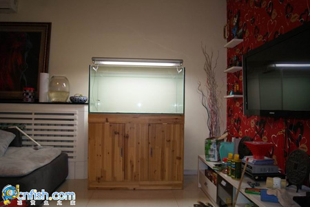 һ��ʯ���׿��׼�¼